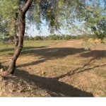 Kharanti Dadpur residential plots Bodhgaya