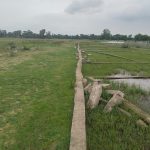 Commercial plots near crazy world water park bodhgaya