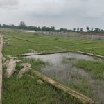 Plots Near Crazy World Water Park Bodhgaya