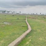 Plots near art of living ashram bodhgaya