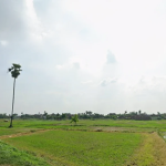 Farm Land for Sale in Bodhgaya